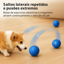 Bolinha Eletrônica Para Cachorro / Carregamento USB