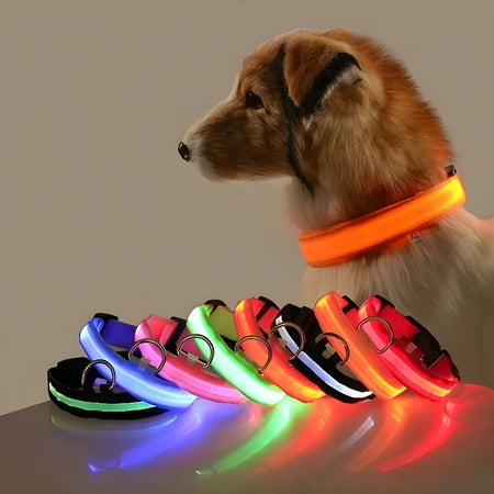 Coleira Led para cães.