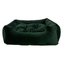 Caminha Pet Suede