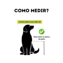 Comedouro Elevado Duplo Tigela Inox