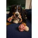 Kit 3 Brinquedos Mordedor Pet