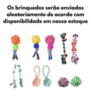 Kit 3 Brinquedos Mordedor Pet