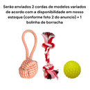 Kit 3 Brinquedos Mordedor Pet