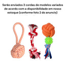 Kit 3 Brinquedos Mordedor Pet