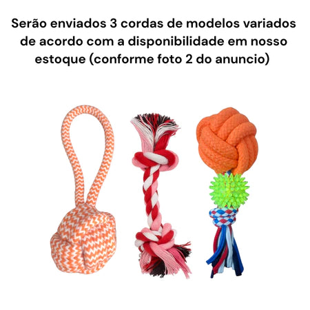 Kit 3 Brinquedos Mordedor Pet