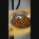 Comedouro Elevado Duplo Tigela Inox