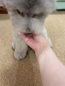 Bolinha Eletrônica Para Cachorro / Carregamento USB