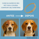 Coleira Antipulgas e Carrapatos Dugs – Proteção Completa para Cães | World Veterinária